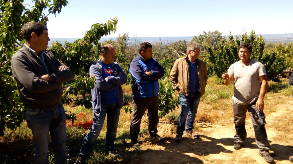 Viaje formativo de productores caderechanos  al Valle del Jerte